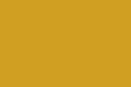 Dark Yellow Rückenfarben