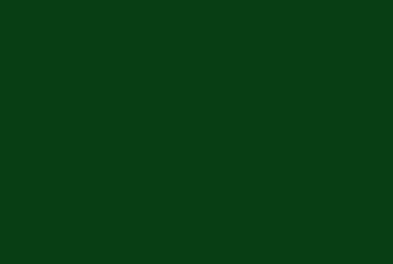 Dark Green Rückenfarben